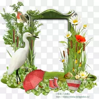 ��������л�����ֲ��.���-������