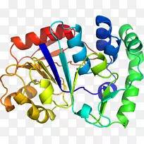人体首饰有机体线剪贴画线-空若网 人体首饰有机体线剪贴画线-空若网