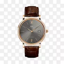 Iwc schaffhausen���ʱ���˾�Զ�����ʱ��-������