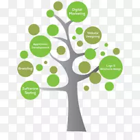 ����Ӫ�����-������