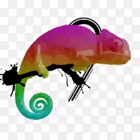 ����ۺ�mrtv�ۺ������.����-������