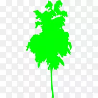 Ҷֲ�ﾥϵ����ֲ�������Ҷ-������