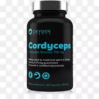 苯丙氨酸支链氨基酸必需氨基酸膳食补充剂虫草-空若网 苯丙氨酸支链氨基酸必需氨基酸膳食补充剂虫草-空若网