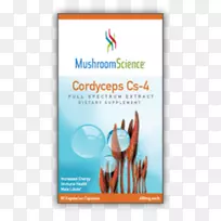 灵芝菇虫草科学膳食补充剂-蘑菇-空若网 灵芝菇虫草科学膳食补充剂-蘑菇-空若网