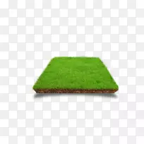 �������̲�-������