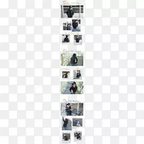 ����������-������