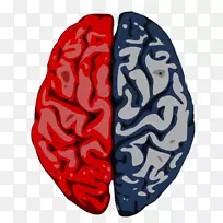 ����-����Ƥ��-���԰����ѧ-��������������-������