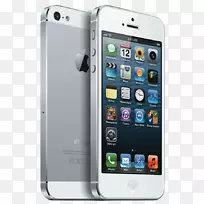 iphone 5sƻ���绰lte-Apple-������