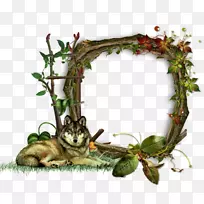 ����-����-������