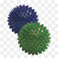 Ê÷»¼ôÌù»-Ê÷-¿ÕÈôÍø Ê÷»¼ôÌù»-Ê÷-¿ÕÈôÍø