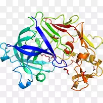 �ߵ�������������-������