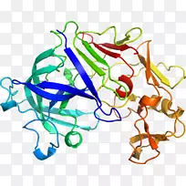线点生物剪贴画线-空若网 线点生物剪贴画线-空若网
