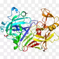 线点剪贴画-线-空若网 线点剪贴画-线-空若网