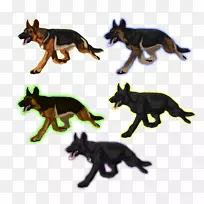 野生动物尾巴狗-空若网 野生动物尾巴狗-空若网