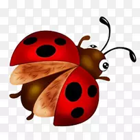 ����ư�涯��������-ư��-������