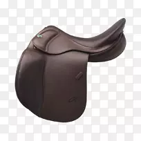 英国马鞍舞步马术-空若网 英国马鞍舞步马术-空若网