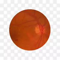 圆圈-空若网 圆圈-空若网