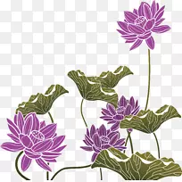 紫-紫莲花无花果。-空若网 紫-紫莲花无花果。-空若网