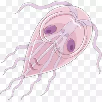 ���滭����-������