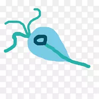 线绿松石剪贴画设计-空若网 线绿松石剪贴画设计-空若网