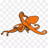 章鱼卡通线动物剪贴画线-空若网 章鱼卡通线动物剪贴画线-空若网