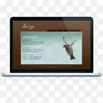 ��ý��Ʒ��-Ʒ��-������