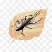 ¼ôÌù»-ó¬ó°µÄÒ¶×Ó-¿ÕÈôÍø ¼ôÌù»-ó¬ó°µÄÒ¶×Ó-¿ÕÈôÍø