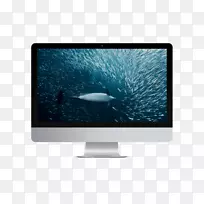 鲸鱼和海豚保护协会,灵丹妙药电脑监控动物-海豚-空若网 鲸鱼和海豚保护协会,灵丹妙药电脑监控动物-海豚-空若网