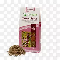 普通鼠尾草浸奶蓟厂茶农-空若网 普通鼠尾草浸奶蓟厂茶农-空若网