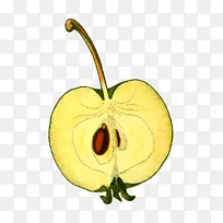 Æ»¹ûÏÂÔØ¼ôÌù»-Æ»¹û-¿ÕÈôÍø Æ»¹ûÏÂÔØ¼ôÌù»-Æ»¹û-¿ÕÈôÍø