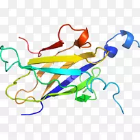 �ߵ������������-������