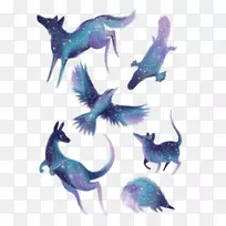 午夜动物,野生动物,海洋生物,鱼类,海豚-澳大利亚动物-空若网 午夜动物,野生动物,海洋生物,鱼类,海豚-澳大利亚动物-空若网