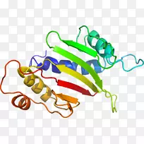 蔬菜有机体系列剪贴画-蔬菜-空若网 蔬菜有机体系列剪贴画-蔬菜-空若网