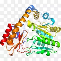 人体首饰有机体线剪贴画线-空若网 人体首饰有机体线剪贴画线-空若网