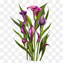 ���ܲ��ͼ�����-��-������