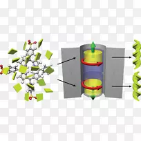 昆虫流苏作者图形设计-NWO-空若网 昆虫流苏作者图形设计-NWO-空若网