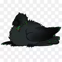 ���-������