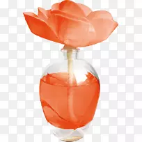 ��ƿ-������