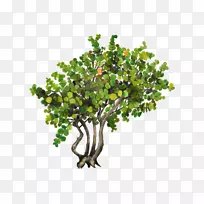 ��������������-������