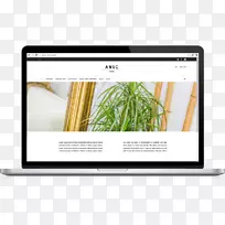 ��ý��Ʒ��-������