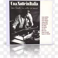 ������ɫ���-������