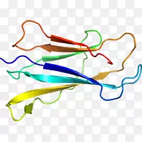 �ߵ������-��-������