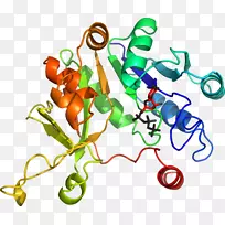 人体首饰有机体线剪贴画线-空若网 人体首饰有机体线剪贴画线-空若网
