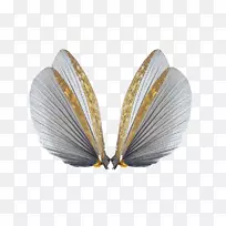 ������������������������-������