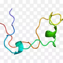 �ߵ������-��-������