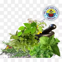 草药学,阿尤尔韦达,埃尔斯,皮安塔,芳香,马哈拉施特拉邦-空若网 草药学,阿尤尔韦达,埃尔斯,皮安塔,芳香,马哈拉施特拉邦-空若网