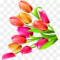 �����㻨��ֲ��-ֲ�������㻨��-������