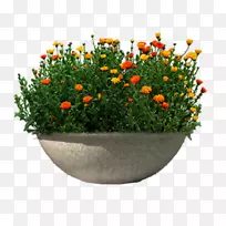下载-花坛-空若网 下载-花坛-空若网