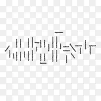 商标白设计-空若网 商标白设计-空若网