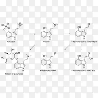 ����n��n-���׻�ɫ�����㰱����-����������-������